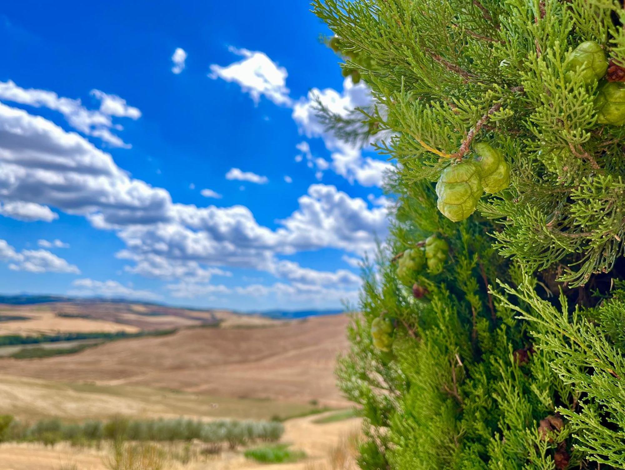 Poggiosalto In Toscana Pienza Eksteriør billede